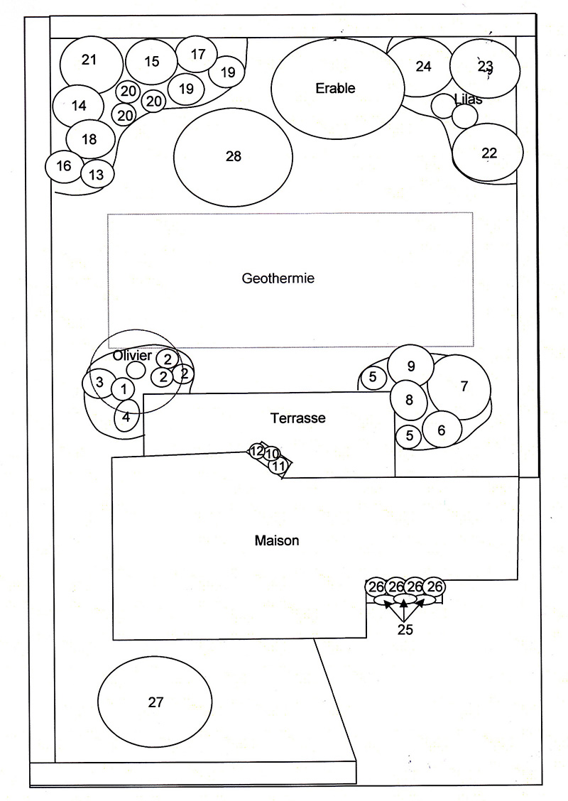 exemple de plan amenagement pepiniere