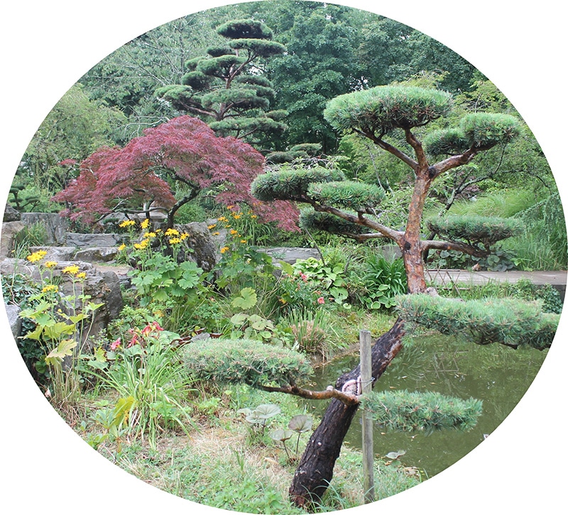 Pépinière Ripoche la chapelle basse mer près de Nantes jardin japonais