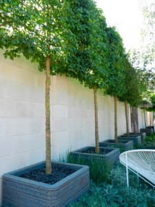 jardins contemporains