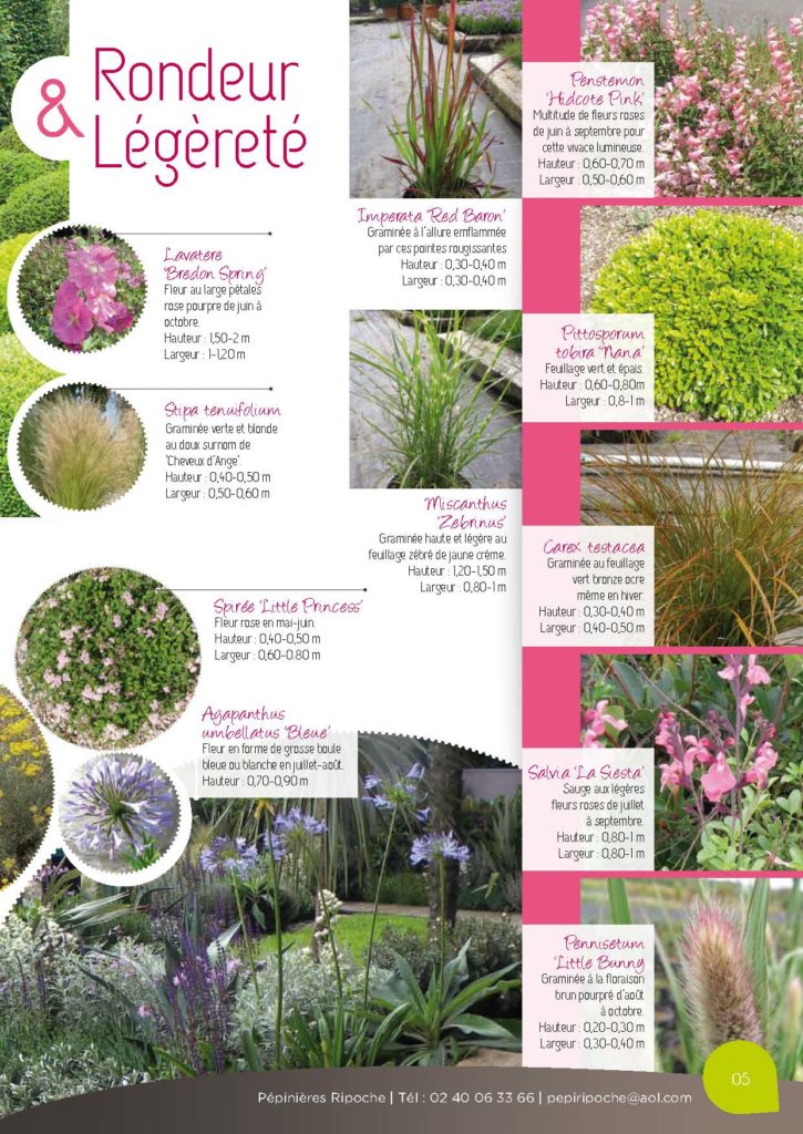 https://www.pepinieres-ripoche.fr/wp-content/uploads/2021/01/Catalogue-particuliers-2011_BD-pdf_Page_05-725x1024.jpg