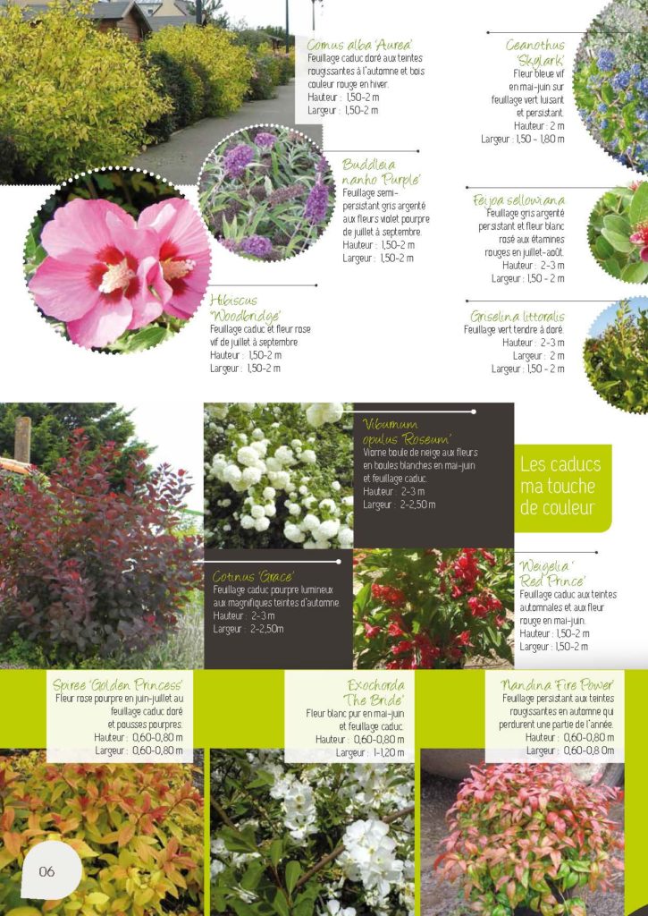 https://www.pepinieres-ripoche.fr/wp-content/uploads/2021/01/Catalogue-particuliers-2011_BD-pdf_Page_06-725x1024.jpg