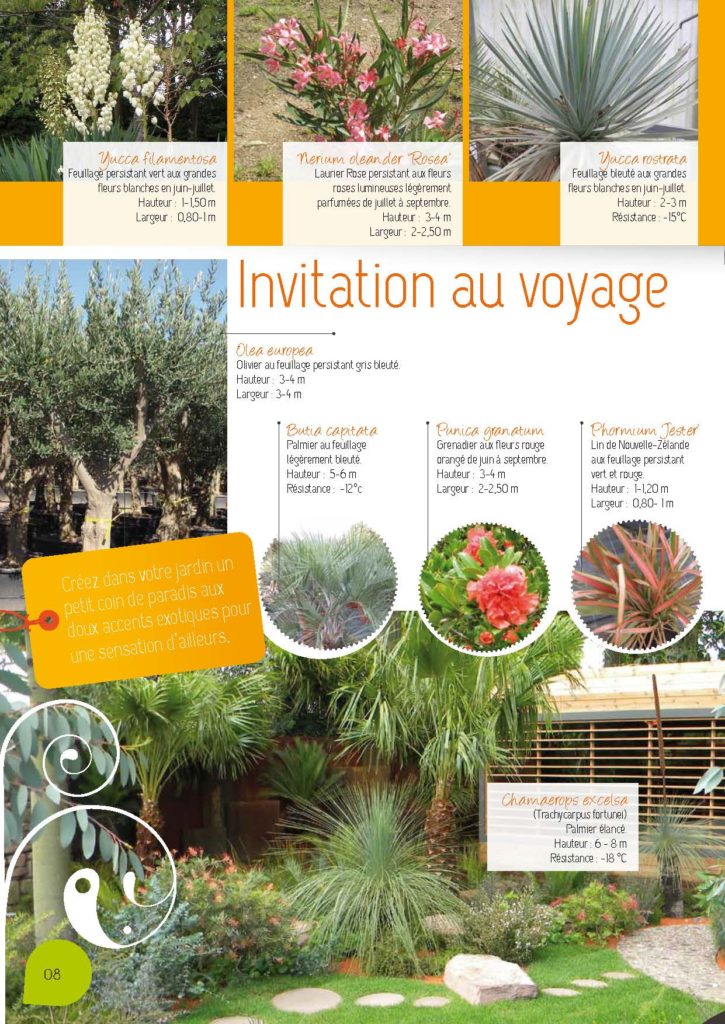 https://www.pepinieres-ripoche.fr/wp-content/uploads/2021/01/Catalogue-particuliers-2011_BD-pdf_Page_08-725x1024.jpg