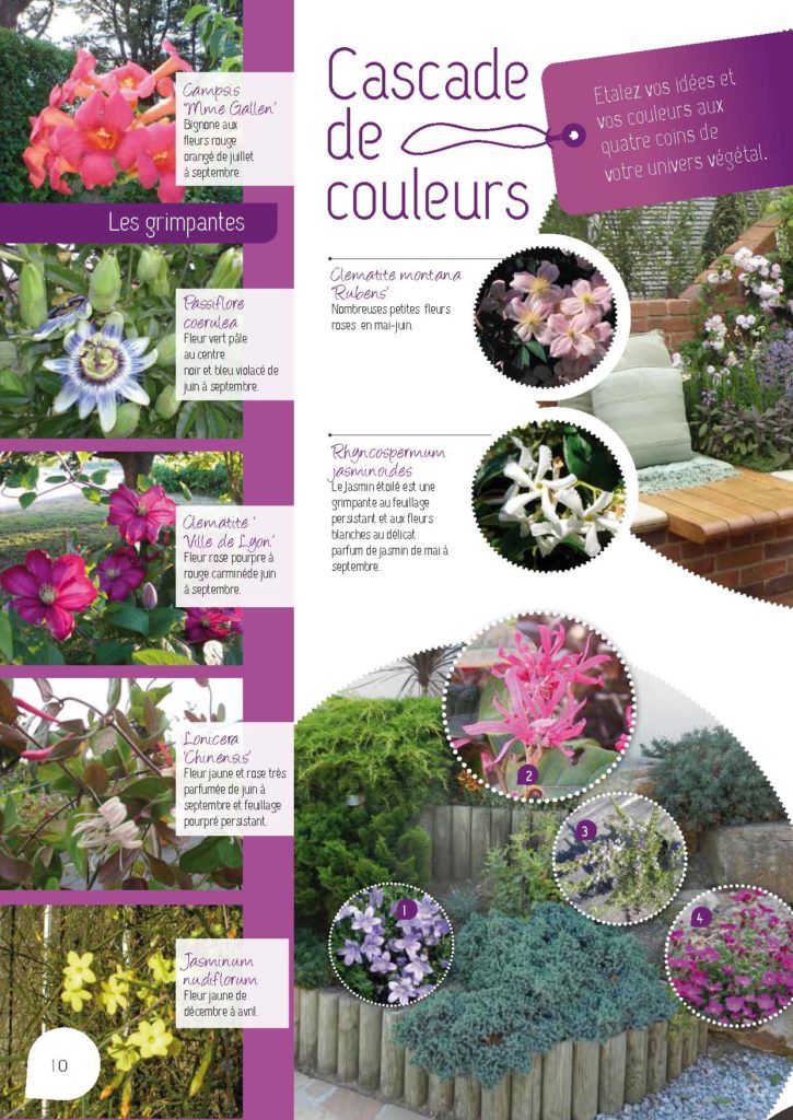 https://www.pepinieres-ripoche.fr/wp-content/uploads/2021/01/Catalogue-particuliers-2011_BD-pdf_Page_10-725x1024.jpg