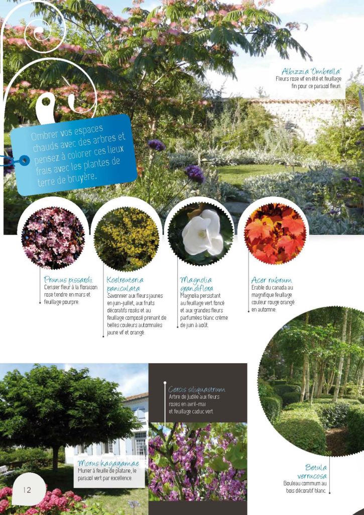 https://www.pepinieres-ripoche.fr/wp-content/uploads/2021/01/Catalogue-particuliers-2011_BD-pdf_Page_12-725x1024.jpg