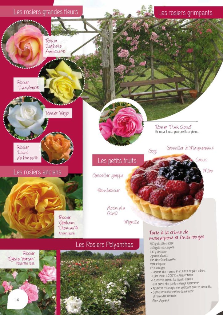 https://www.pepinieres-ripoche.fr/wp-content/uploads/2021/01/Catalogue-particuliers-2011_BD-pdf_Page_14-725x1024.jpg