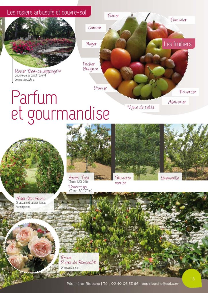 https://www.pepinieres-ripoche.fr/wp-content/uploads/2021/01/Catalogue-particuliers-2011_BD-pdf_Page_15-725x1024.jpg