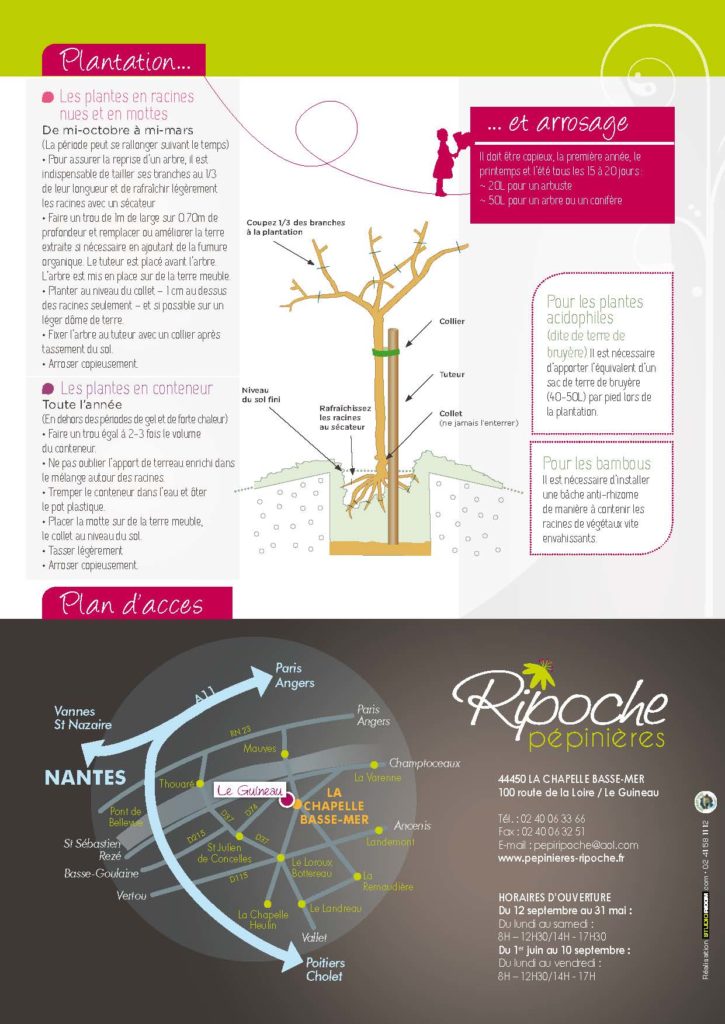 https://www.pepinieres-ripoche.fr/wp-content/uploads/2021/01/Catalogue-particuliers-2011_BD-pdf_Page_16-725x1024.jpg