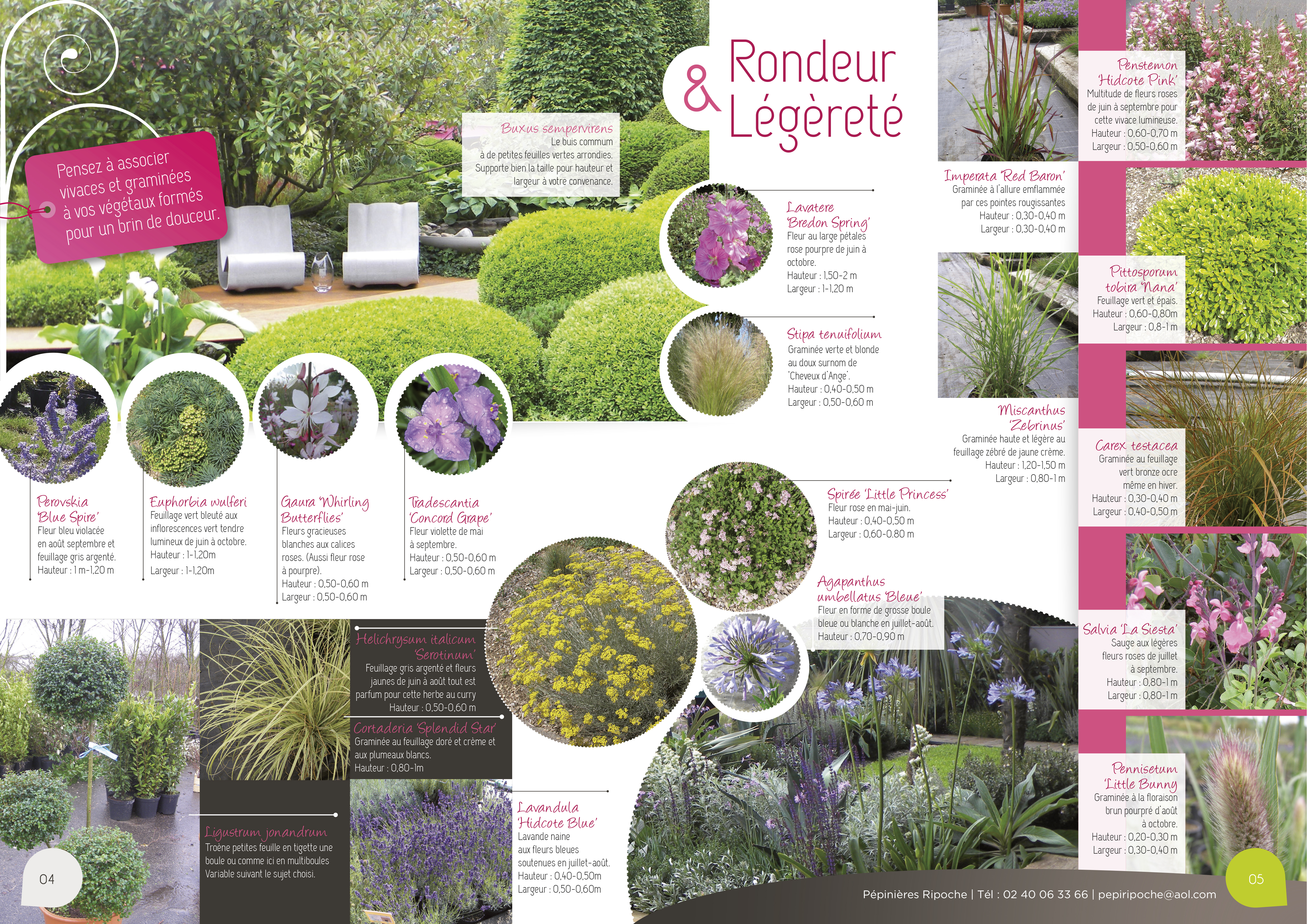 Rondeur et légèreté, Arbustes formés, Vivaces et Graminées