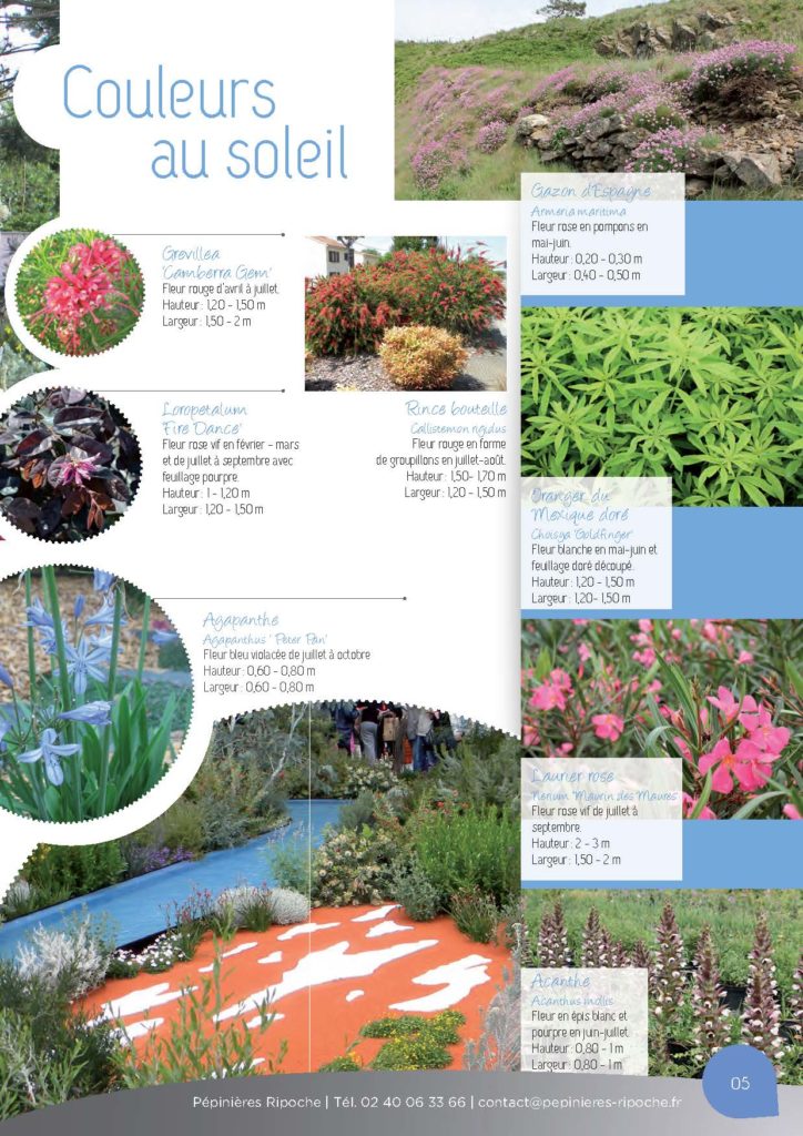 https://www.pepinieres-ripoche.fr/wp-content/uploads/2021/01/Catalogue-particuliers-Ripoche-2018-BD.pdf_Page_05-724x1024.jpg