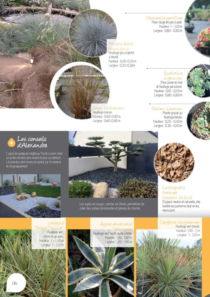 https://www.pepinieres-ripoche.fr/wp-content/uploads/2021/01/Catalogue-particuliers-Ripoche-2018-BD.pdf_Page_06-724x1024.jpg