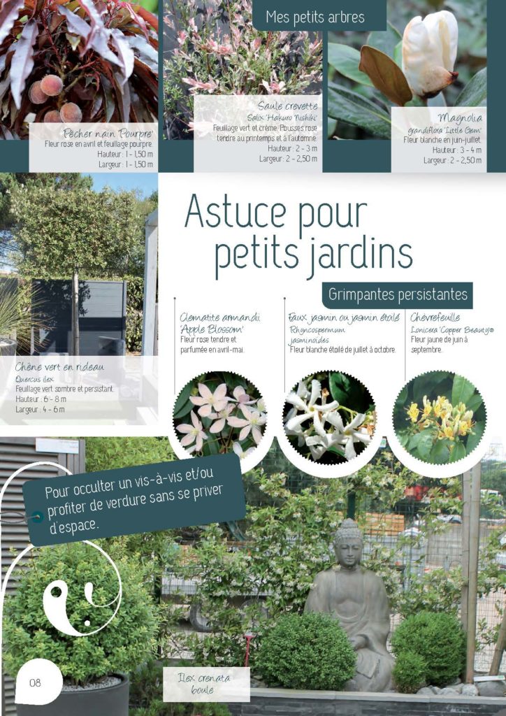 https://www.pepinieres-ripoche.fr/wp-content/uploads/2021/01/Catalogue-particuliers-Ripoche-2018-BD.pdf_Page_08-724x1024.jpg