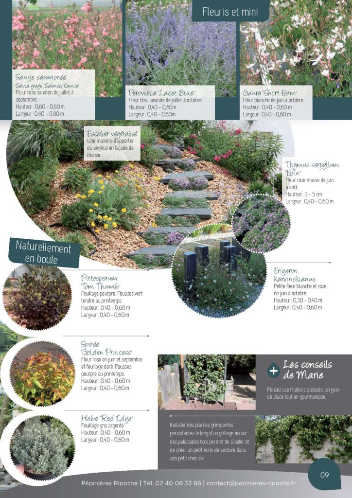 https://www.pepinieres-ripoche.fr/wp-content/uploads/2021/01/Catalogue-particuliers-Ripoche-2018-BD.pdf_Page_09-724x1024.jpg