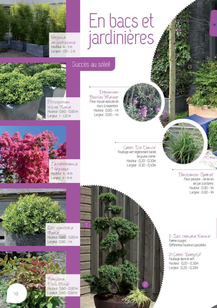 https://www.pepinieres-ripoche.fr/wp-content/uploads/2021/01/Catalogue-particuliers-Ripoche-2018-BD.pdf_Page_10-724x1024.jpg