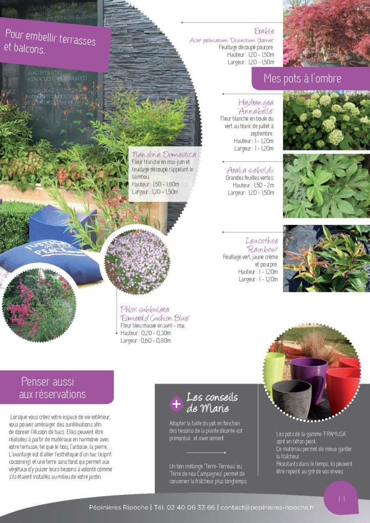 https://www.pepinieres-ripoche.fr/wp-content/uploads/2021/01/Catalogue-particuliers-Ripoche-2018-BD.pdf_Page_11-724x1024.jpg