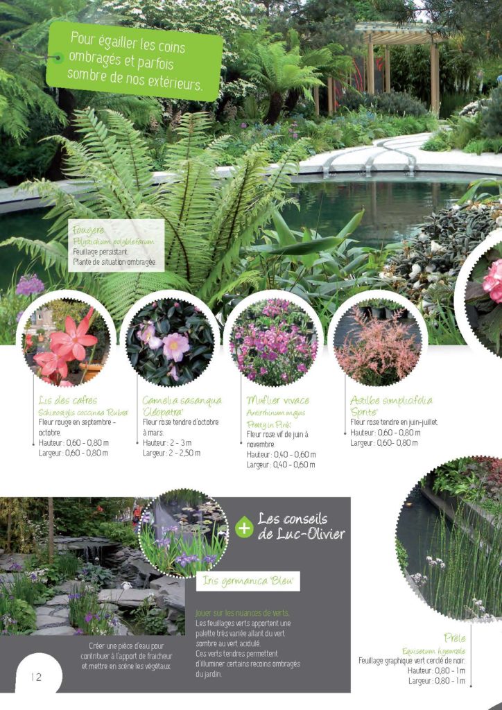https://www.pepinieres-ripoche.fr/wp-content/uploads/2021/01/Catalogue-particuliers-Ripoche-2018-BD.pdf_Page_12-724x1024.jpg