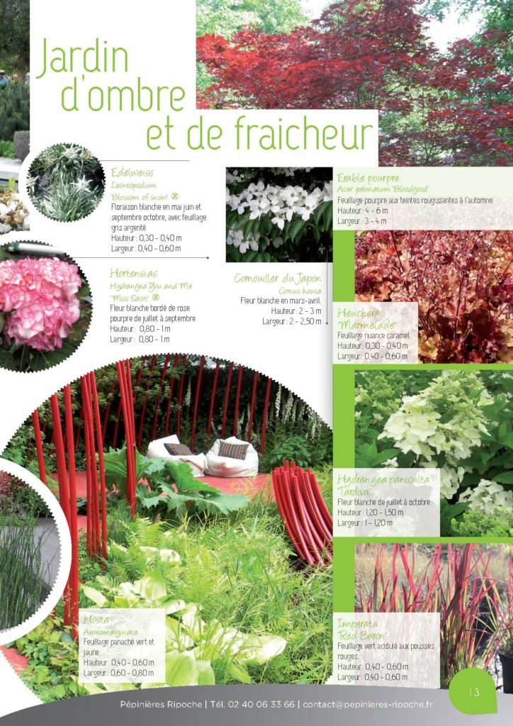 https://www.pepinieres-ripoche.fr/wp-content/uploads/2021/01/Catalogue-particuliers-Ripoche-2018-BD.pdf_Page_13-724x1024.jpg