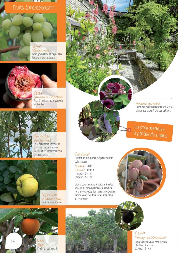 https://www.pepinieres-ripoche.fr/wp-content/uploads/2021/01/Catalogue-particuliers-Ripoche-2018-BD.pdf_Page_14-724x1024.jpg