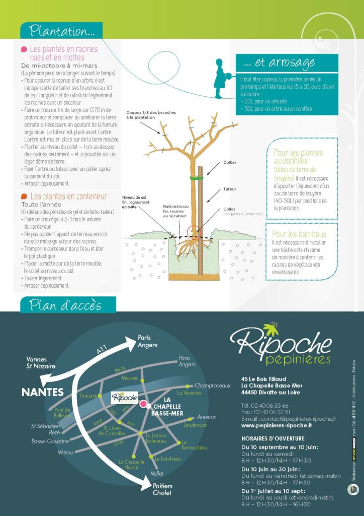https://www.pepinieres-ripoche.fr/wp-content/uploads/2021/01/Catalogue-particuliers-Ripoche-2018-BD.pdf_Page_16-724x1024.jpg