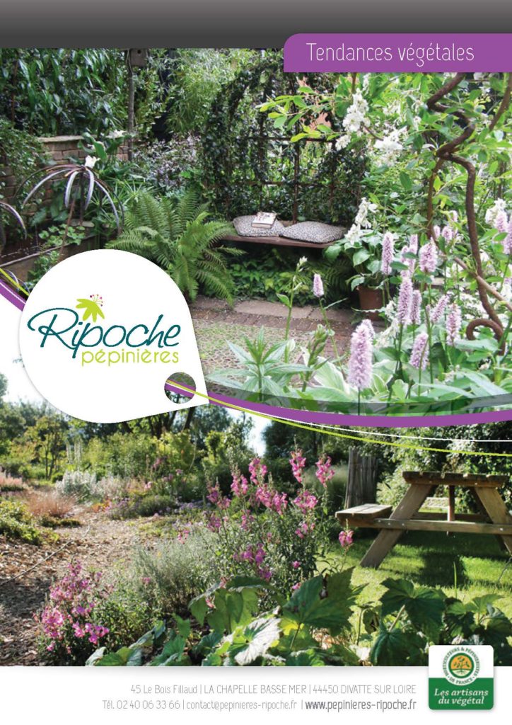 https://www.pepinieres-ripoche.fr/wp-content/uploads/2021/01/Catalogue-particuliers-Ripoche-2020-bd_Page_1_Image_0001_Page_01-724x1024.jpg