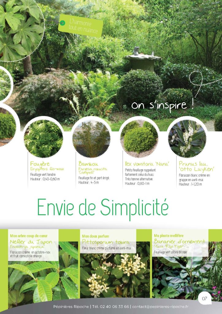 https://www.pepinieres-ripoche.fr/wp-content/uploads/2021/01/Catalogue-particuliers-Ripoche-2020-bd_Page_1_Image_0001_Page_07-724x1024.jpg