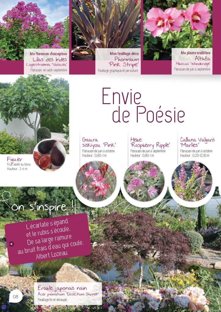 https://www.pepinieres-ripoche.fr/wp-content/uploads/2021/01/Catalogue-particuliers-Ripoche-2020-bd_Page_1_Image_0001_Page_08-724x1024.jpg