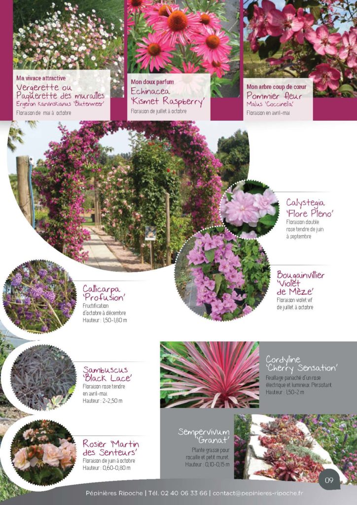 https://www.pepinieres-ripoche.fr/wp-content/uploads/2021/01/Catalogue-particuliers-Ripoche-2020-bd_Page_1_Image_0001_Page_09-724x1024.jpg