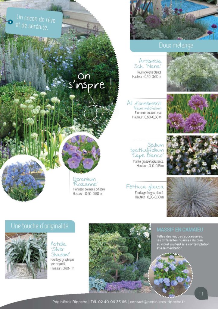 https://www.pepinieres-ripoche.fr/wp-content/uploads/2021/01/Catalogue-particuliers-Ripoche-2020-bd_Page_1_Image_0001_Page_11-724x1024.jpg