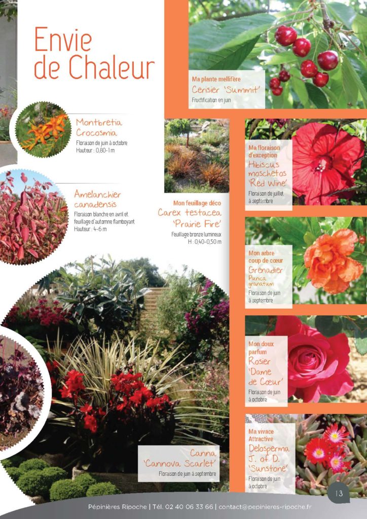https://www.pepinieres-ripoche.fr/wp-content/uploads/2021/01/Catalogue-particuliers-Ripoche-2020-bd_Page_1_Image_0001_Page_13-724x1024.jpg
