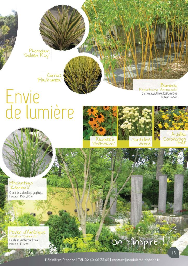 https://www.pepinieres-ripoche.fr/wp-content/uploads/2021/01/Catalogue-particuliers-Ripoche-2020-bd_Page_1_Image_0001_Page_15-724x1024.jpg