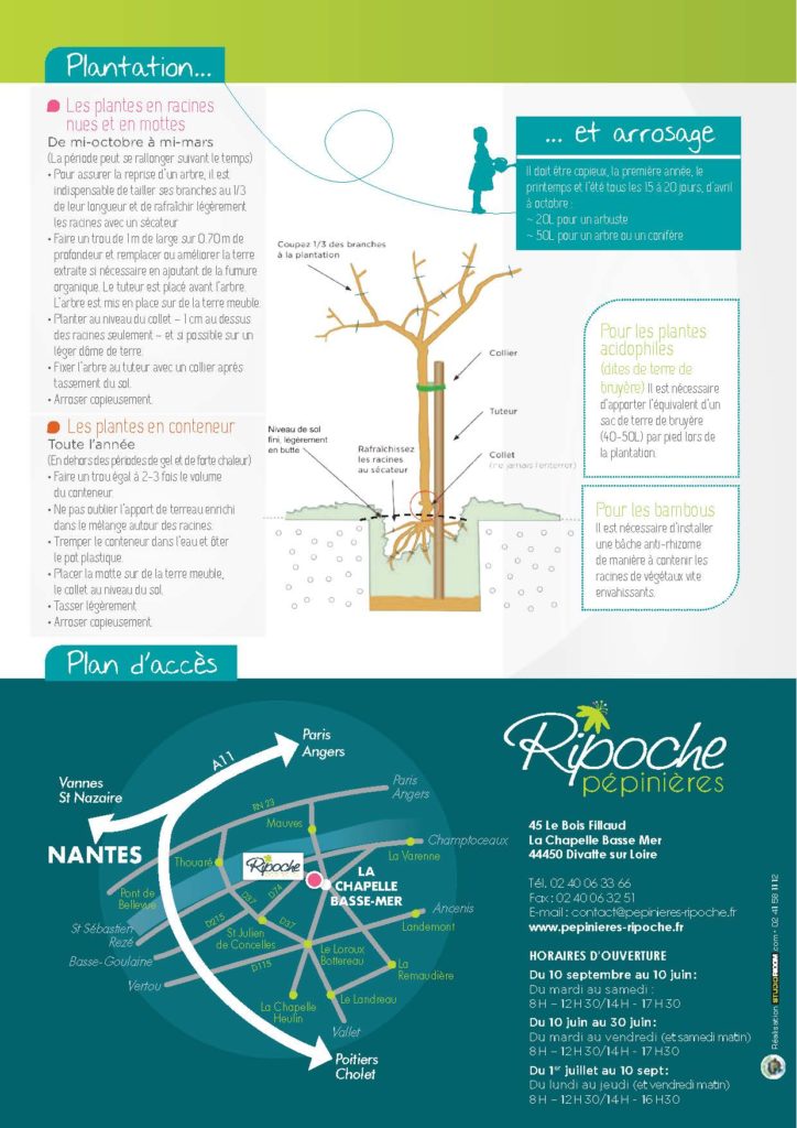 https://www.pepinieres-ripoche.fr/wp-content/uploads/2021/01/Catalogue-particuliers-Ripoche-2020-bd_Page_1_Image_0001_Page_16-724x1024.jpg