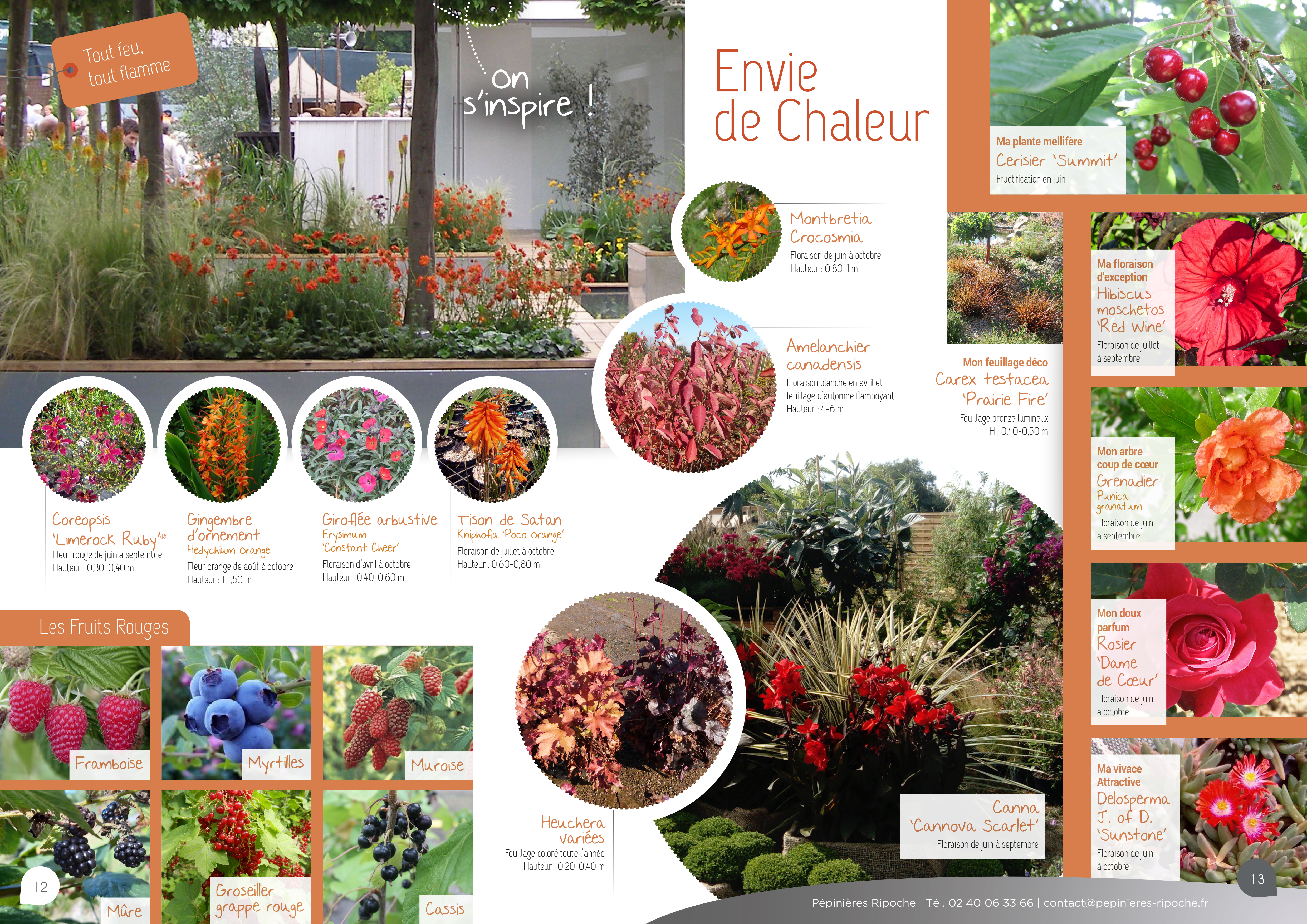 jardins secs, tendance pépinière près de nantes