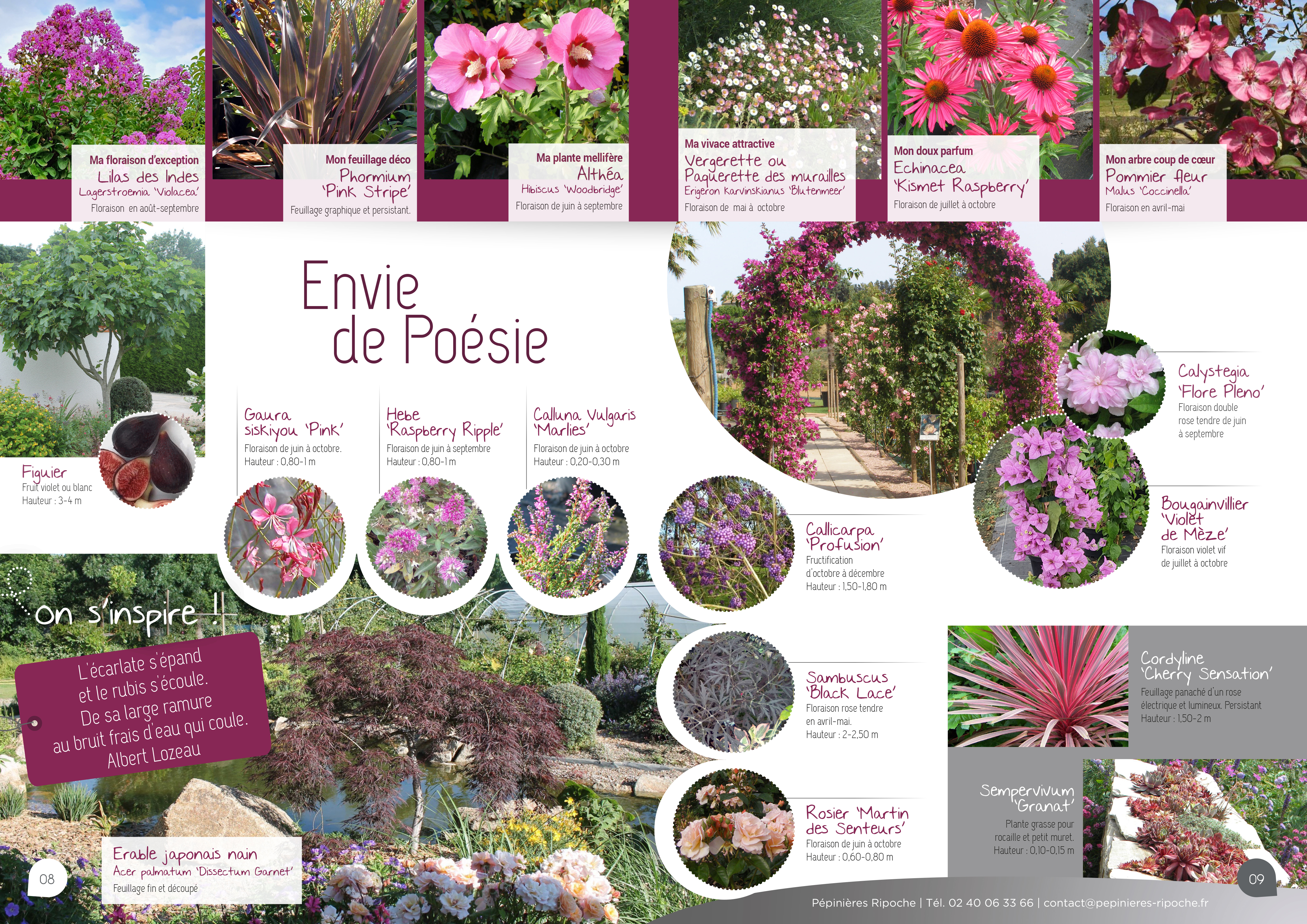jardins secs, tendance pépinière près de nantes