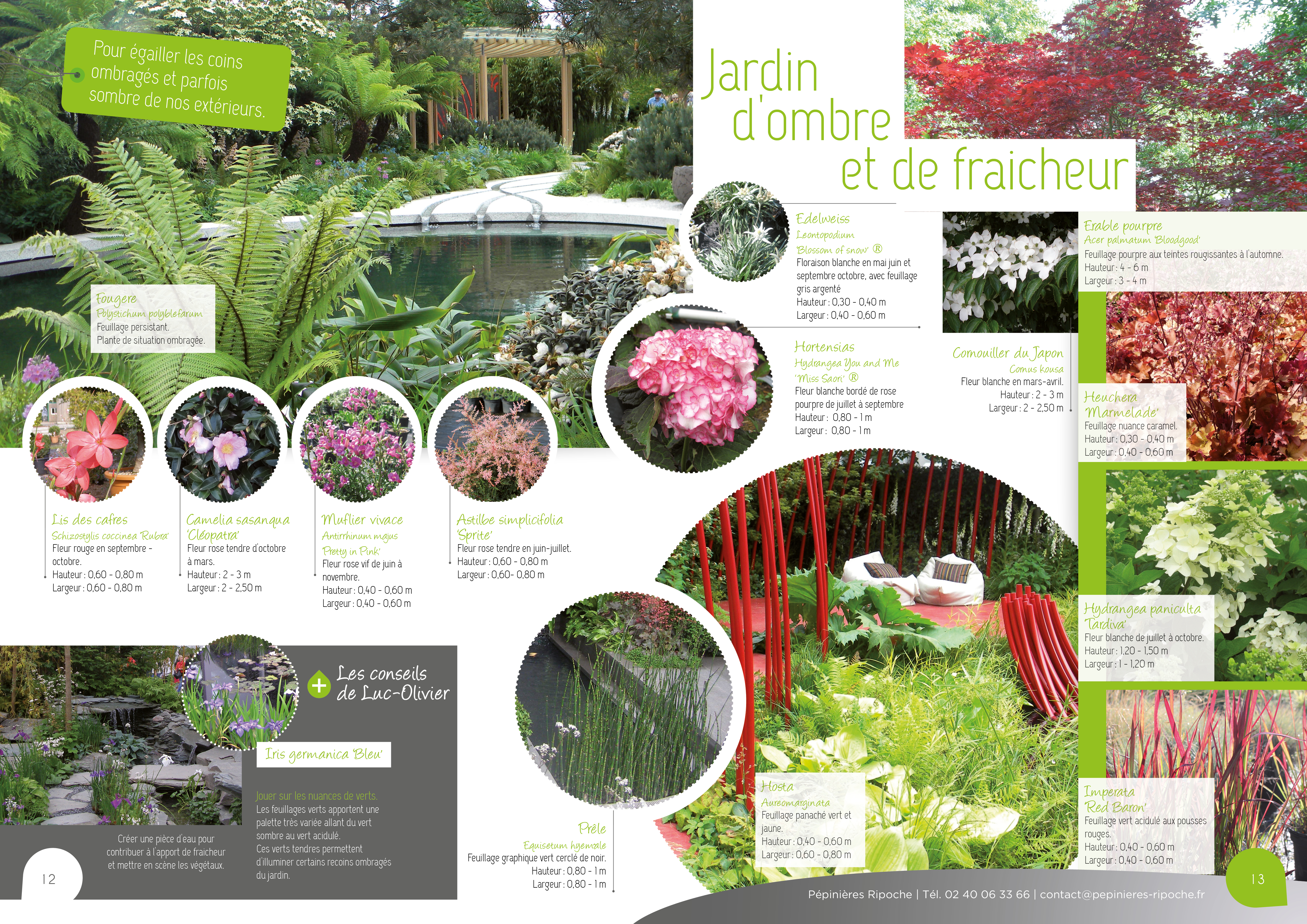 jardins d'ombre, tendance pépinière près de nantes