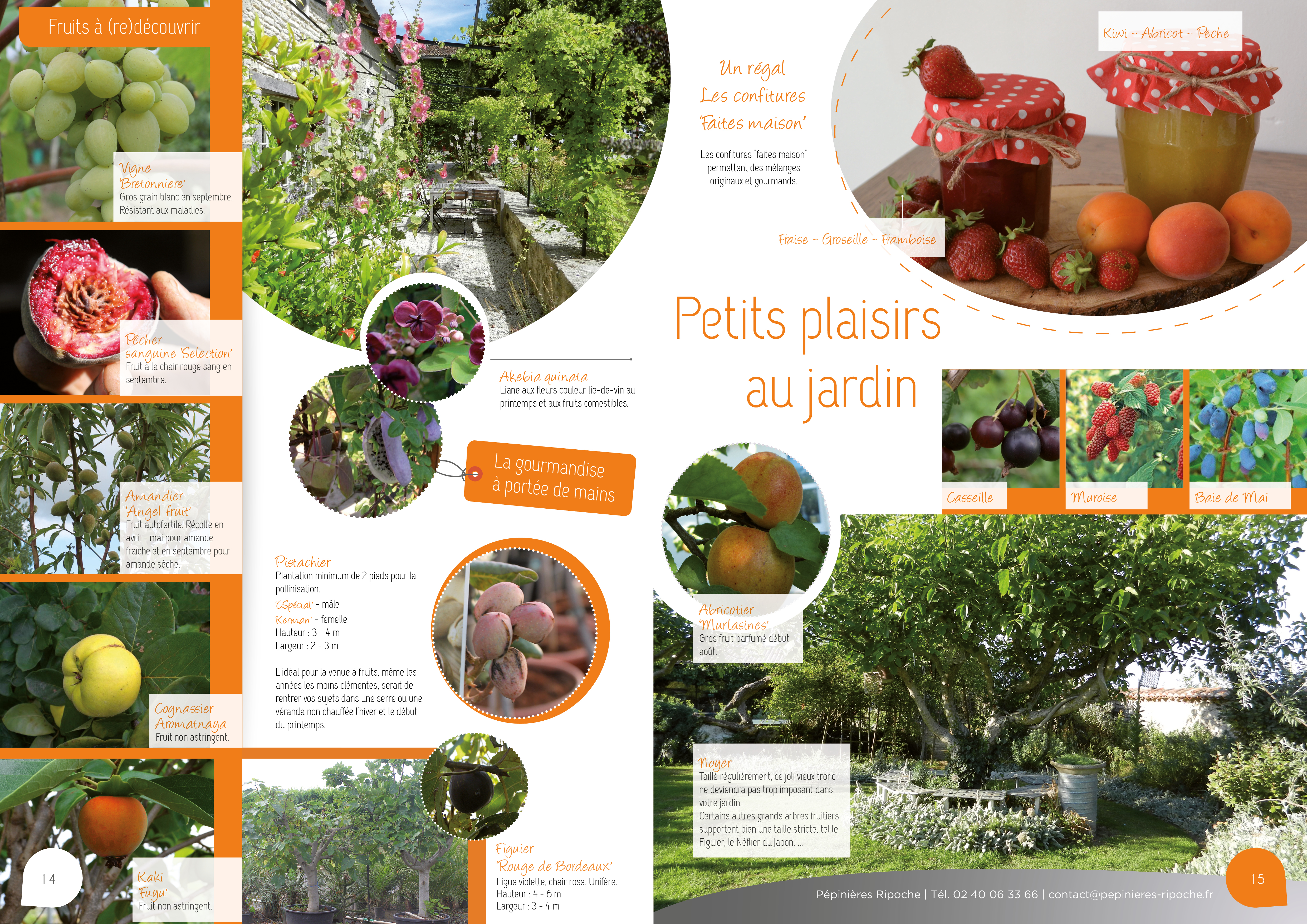 Couleurs au soleil, tendance pépinière près de nantes