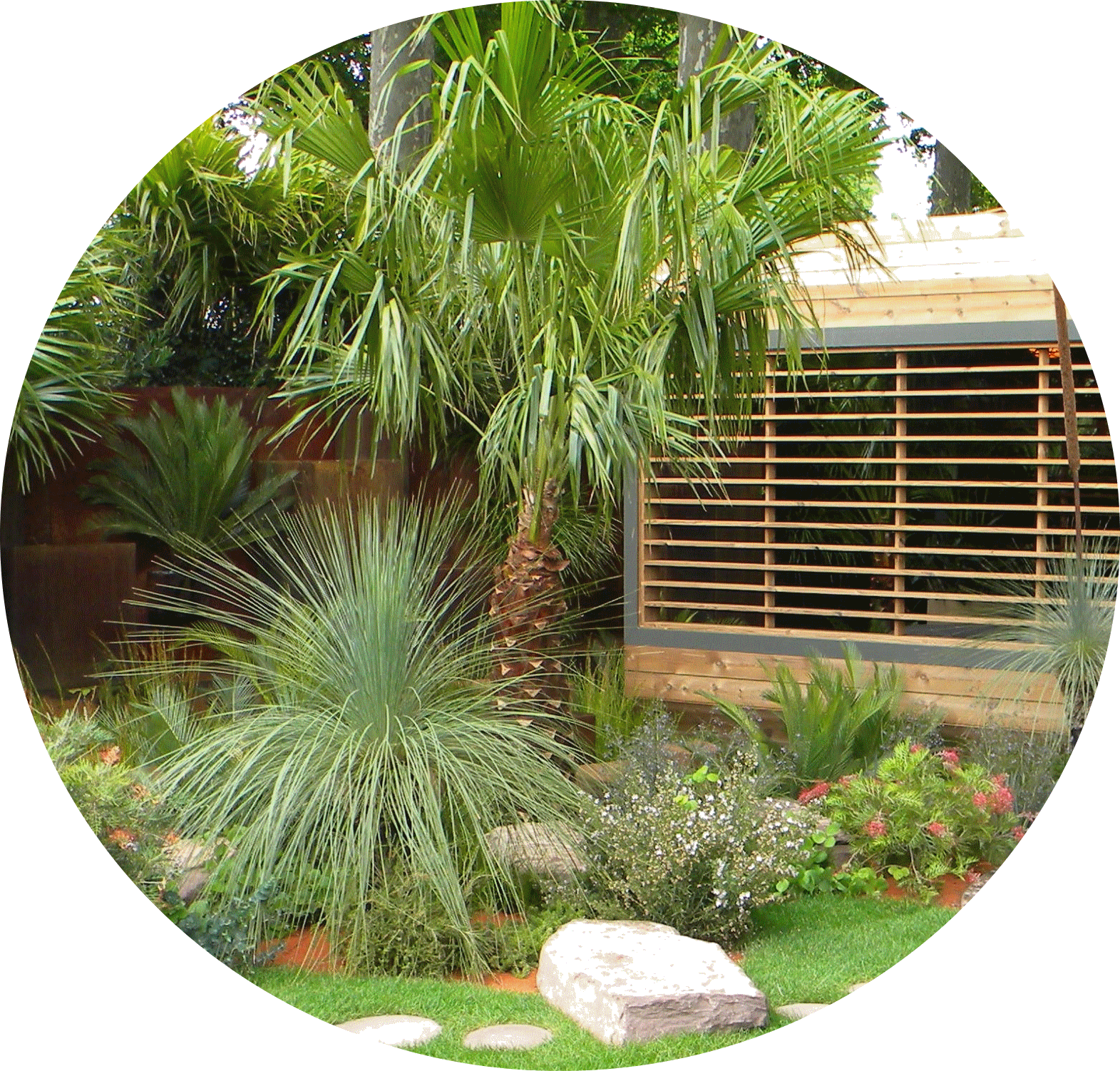 Invitation au voyage, Plantes exotiques, Oliviers, Palmiers et Bambous