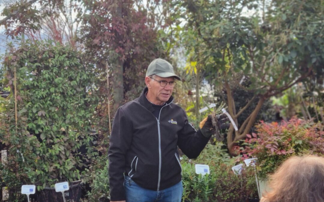 Merci pour la taille Jean-Luc Ripoche