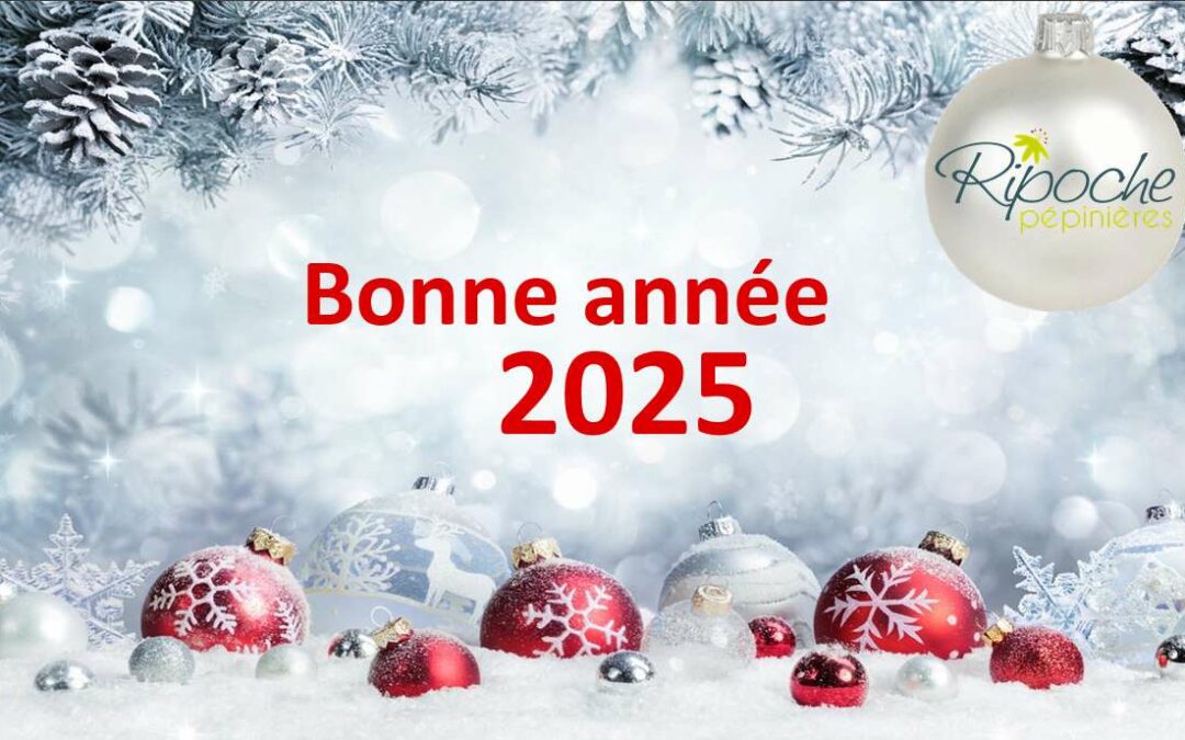 Bonne année… et samedis de janvier