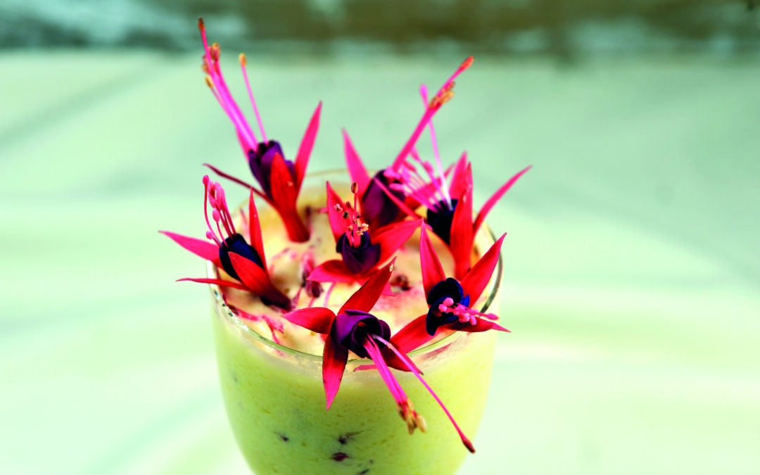 Mousse Chocolat blanc aux fleurs de Fuchsia