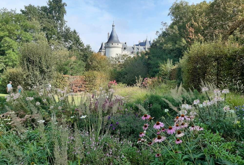 La Semaine des Fleurs pour les Abeilles