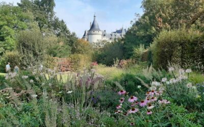 La Semaine des Fleurs pour les Abeilles