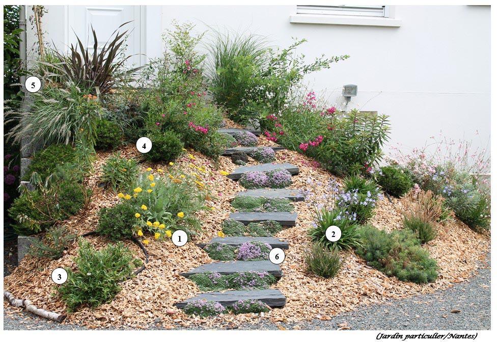 Photo-Astuce-pour-petits-jardins-