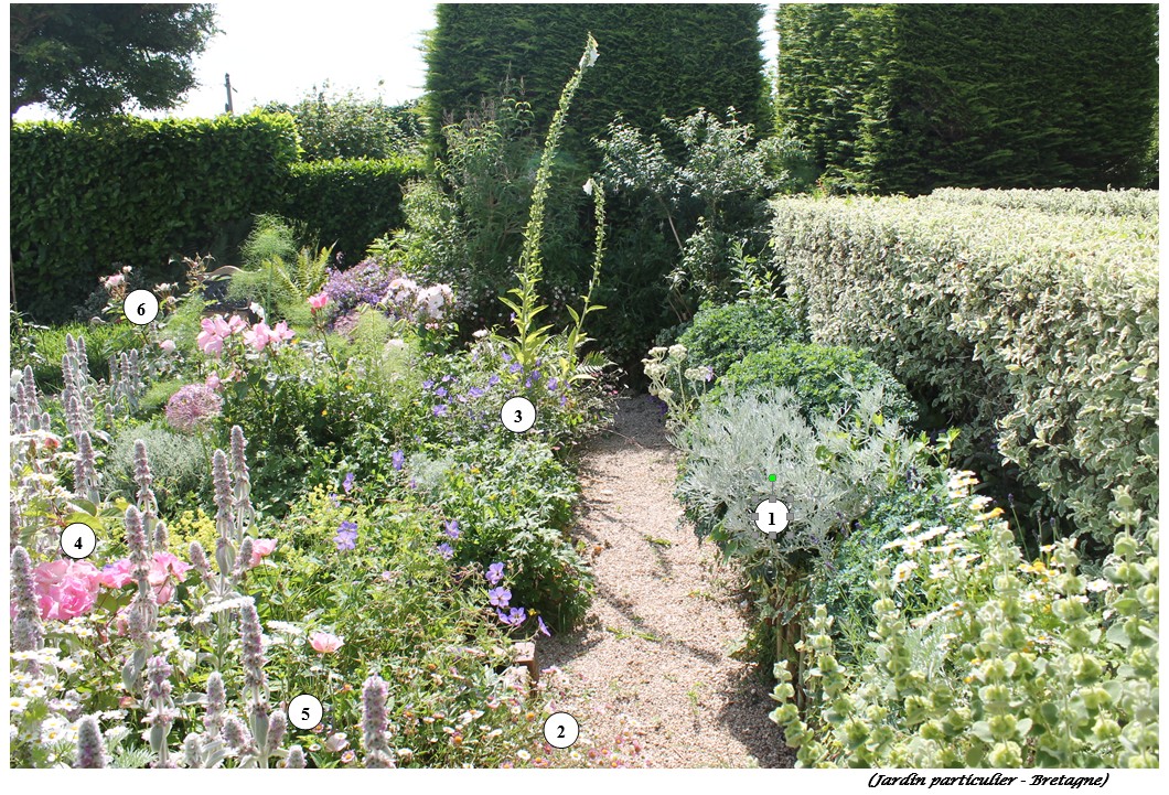 Photo-Jardin-exotique-2