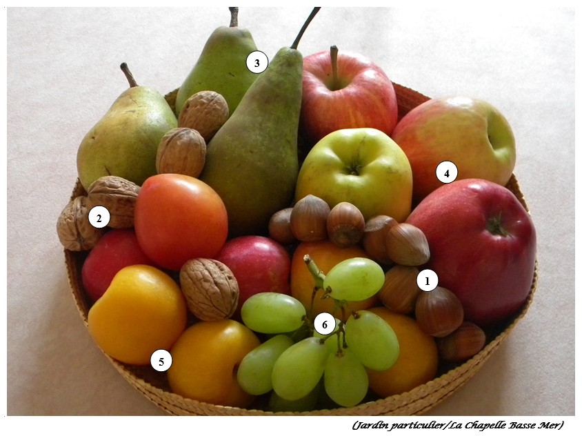 Photo-Petits-plaisirs-au-jardin