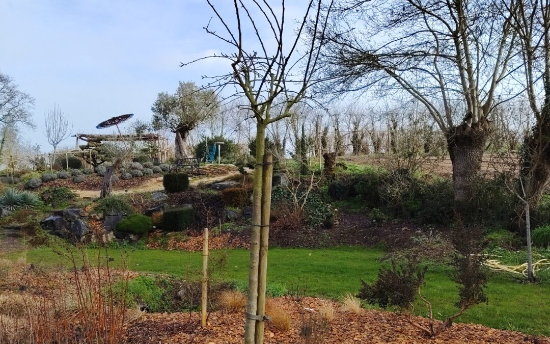 Comment bien planter ?