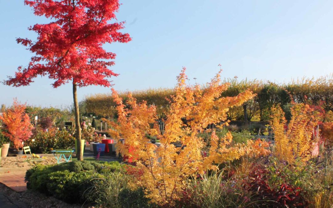 Portes ouvertes d’automne