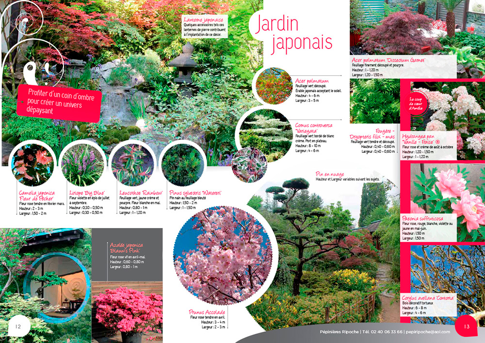 jardins japonais idées création pépiniere pays de la Loire